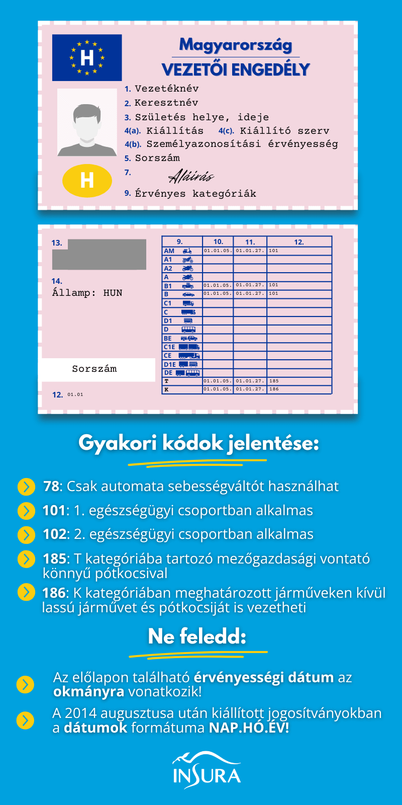Jogosítvány kódok infografika